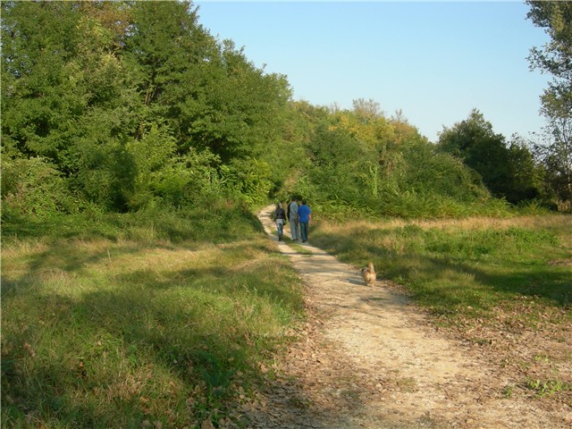 arčilend